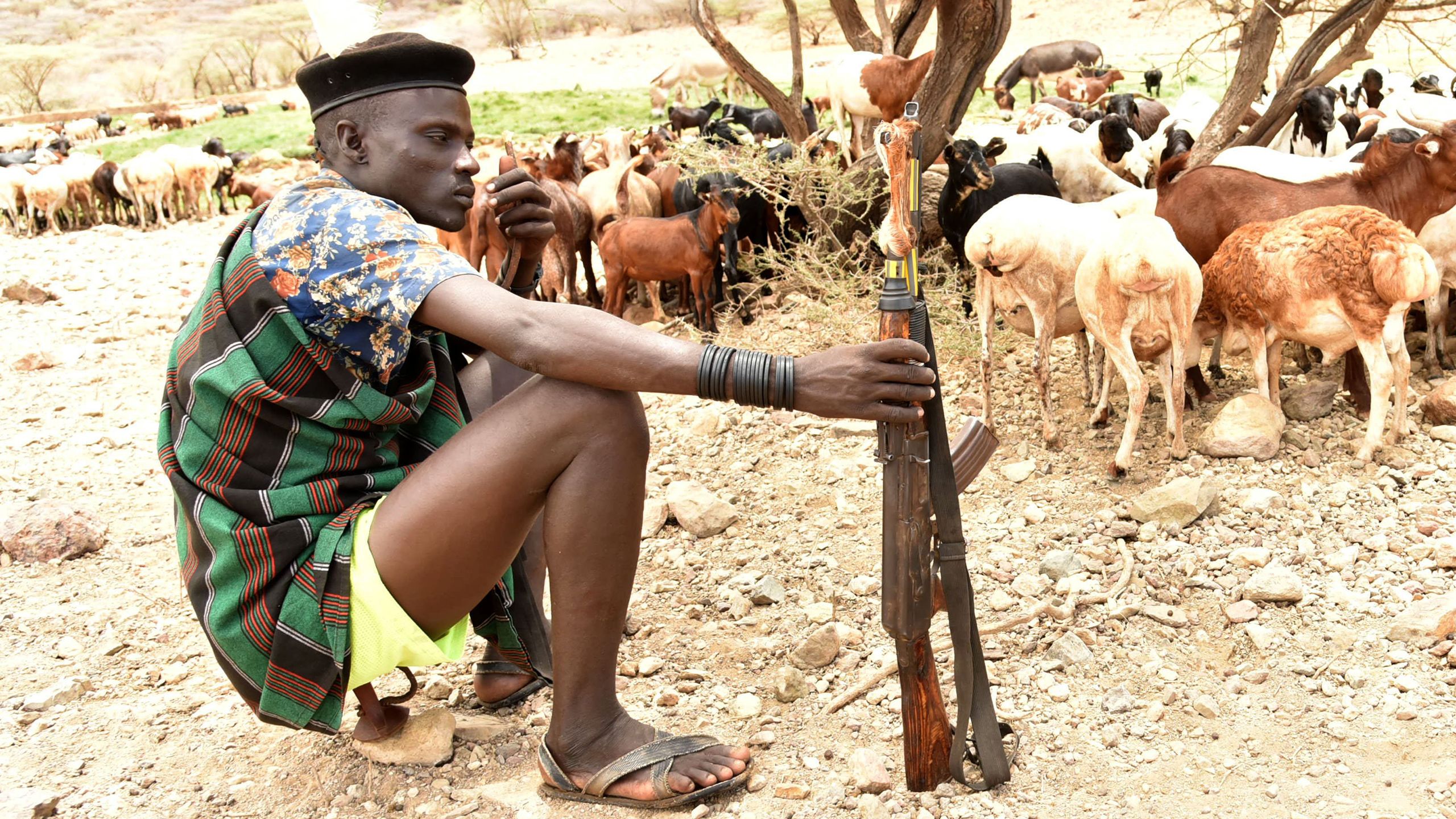 A man in a black beret sits on some type of tool, a gan on his extended right hand, sheep behind him.