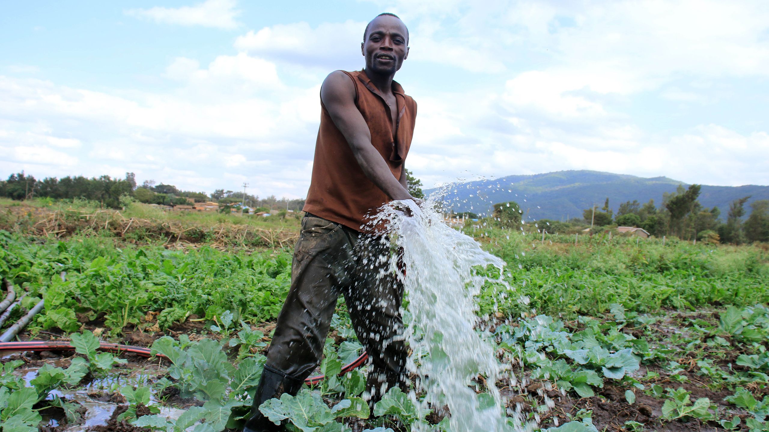 A male farmer waters his crops using water from Athi River near Fourteen Falls in Thika.